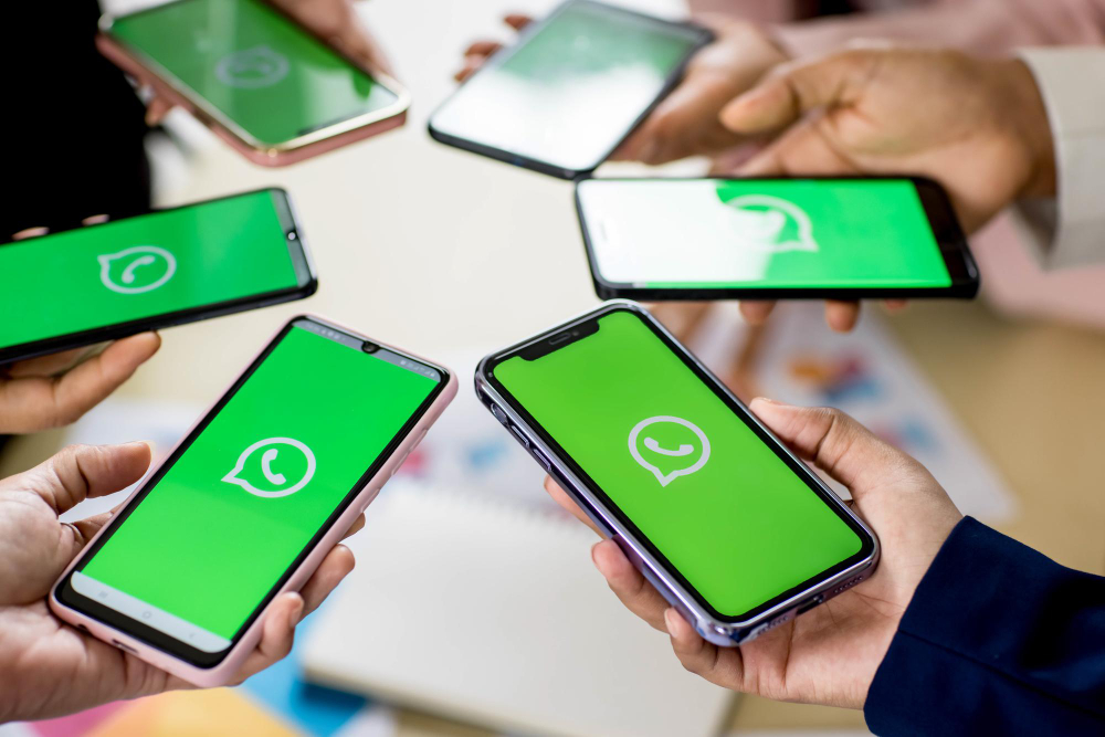 Список рассылки в WhatsApp Business: как создать и когда использовать